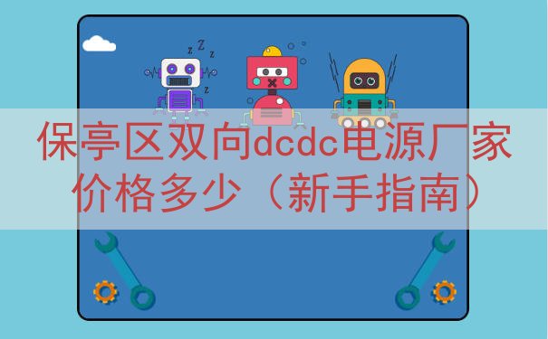 保亭区双向dcdc电源厂家价格多少（新手指南）